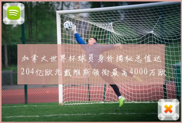 加拿大世界杯球员身价揭秘总值达204亿欧元戴维斯领衔最高4000万欧
